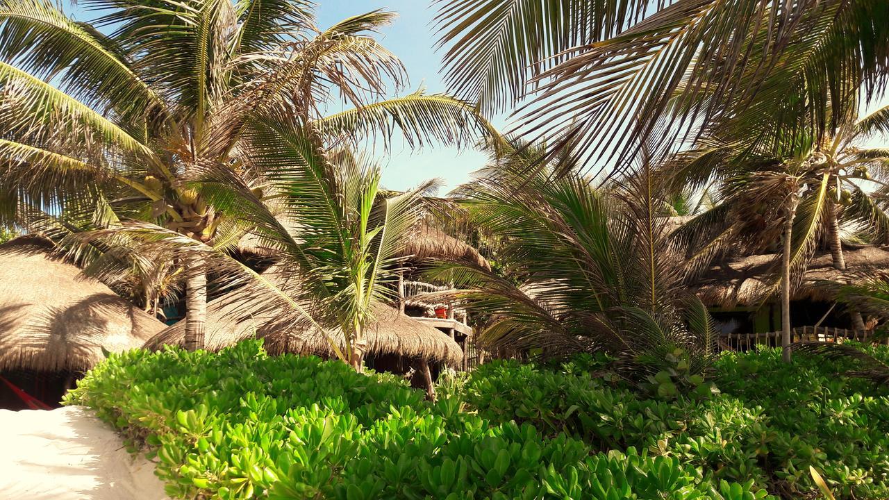 Hotel Cabanas La Luna Tulum Zewnętrze zdjęcie