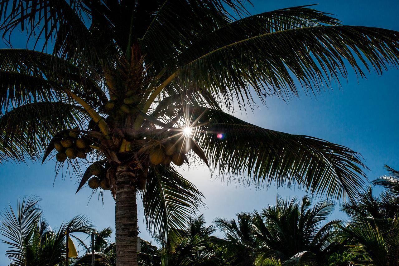 Hotel Cabanas La Luna Tulum Zewnętrze zdjęcie